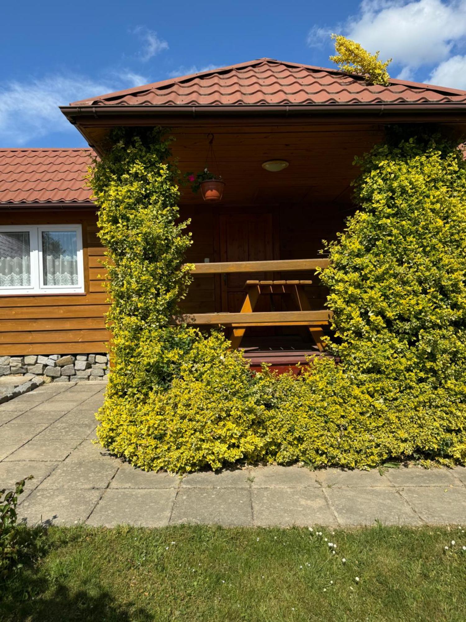 Domki Zewa Orelec Exterior photo